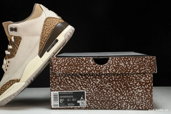 Retro Jordan  CT8532-102 CT8532-102 Palomino  3 0401